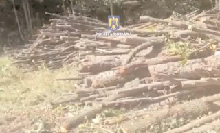 Descinderi ale polițiștilor din Găești la hoții de lemne
